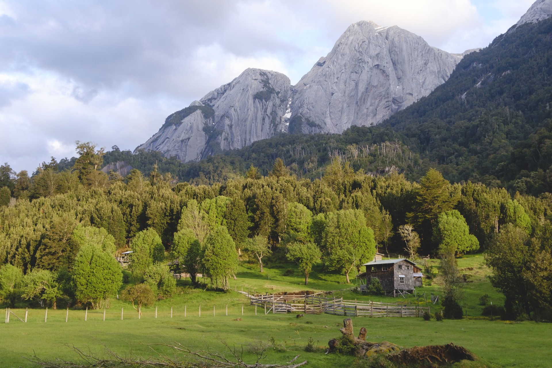 Cinco países concentran la mitad de los bosques del planeta, pero enfrentan crisis por deforestación