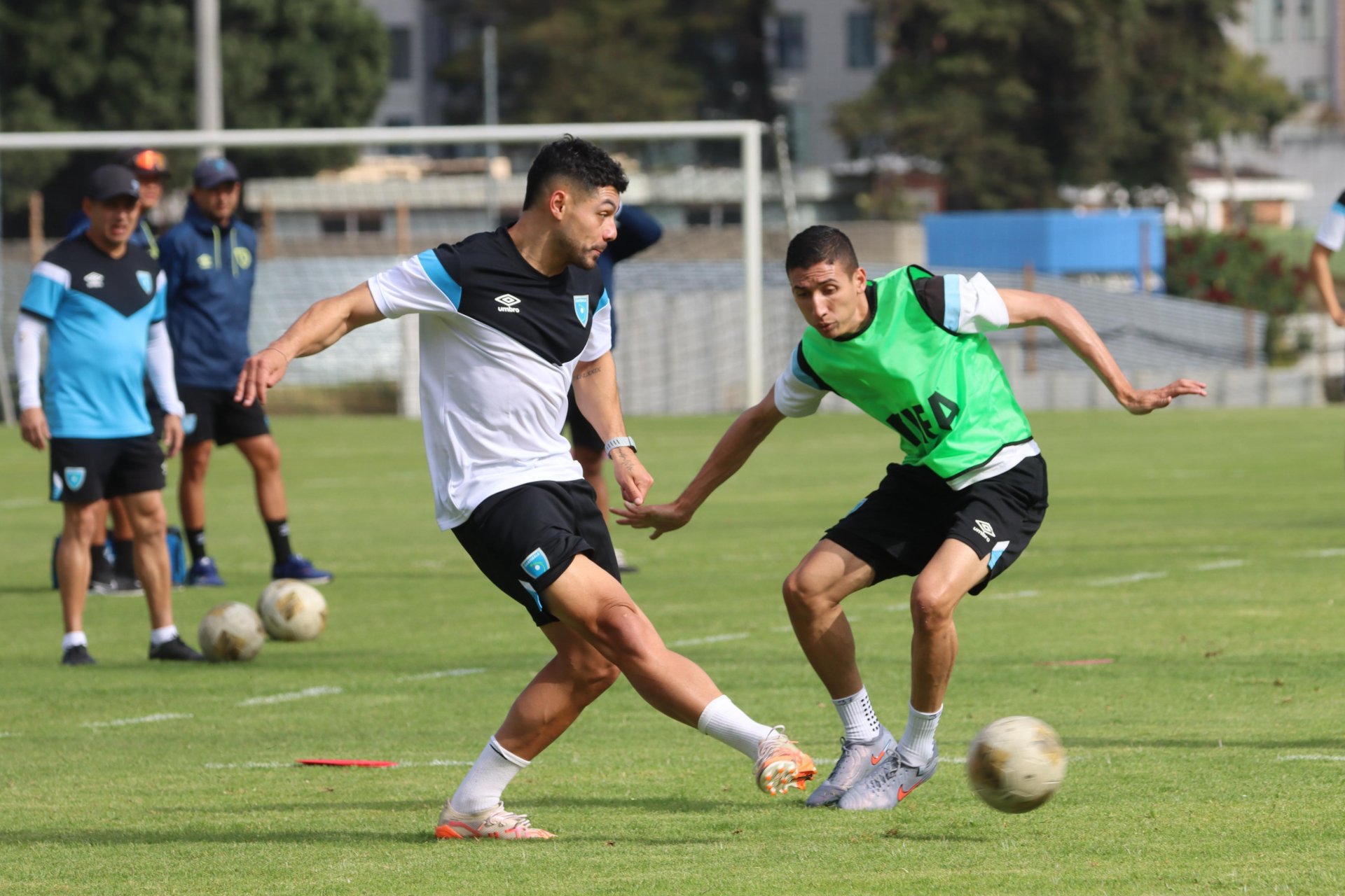Guatemala inicia microciclos de preparación para el amistoso contra Argelia en Italia