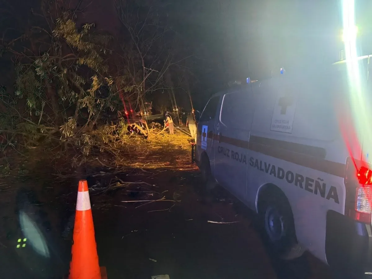 Trágico accidente en la Panamericana: pareja de motociclistas fallece tras caída de árbol