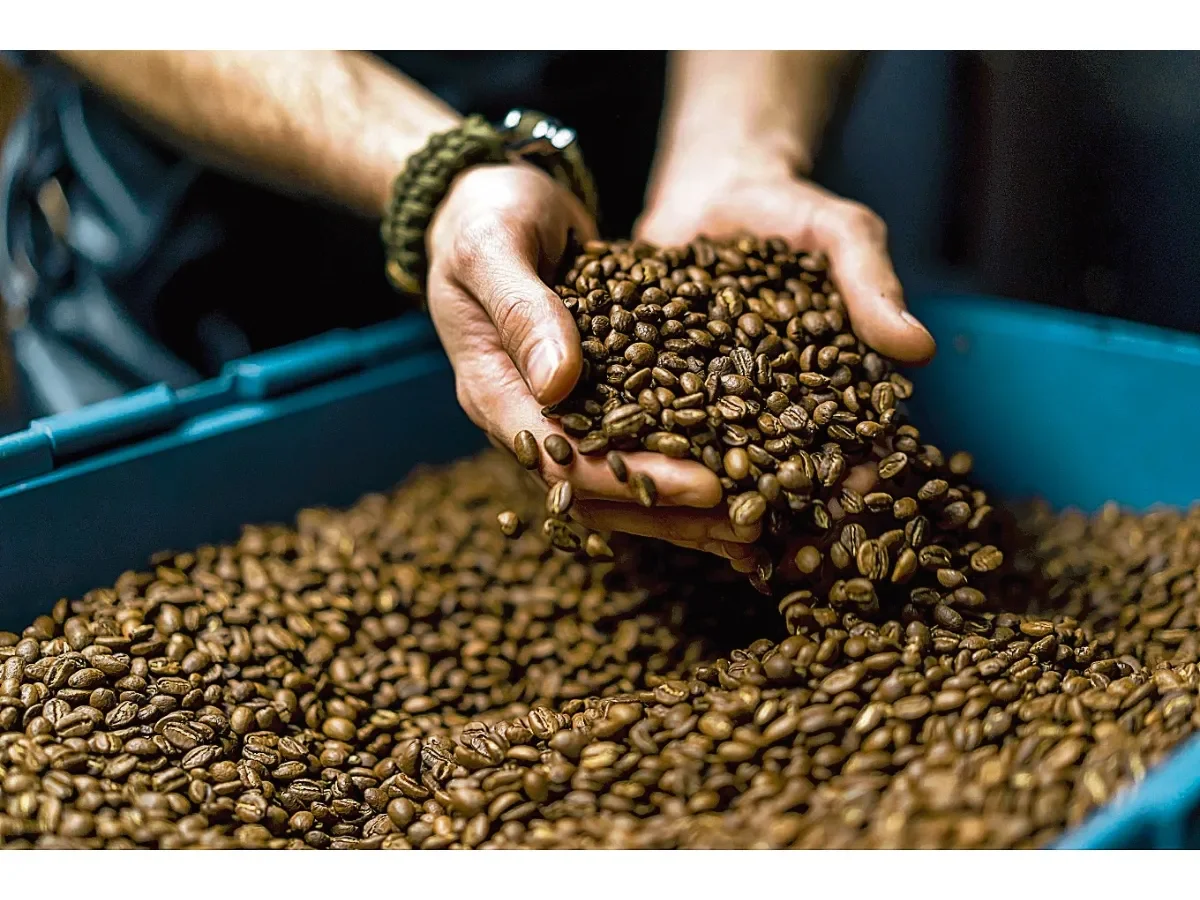 Conflicto en Medio Oriente detiene la caída del precio internacional del café