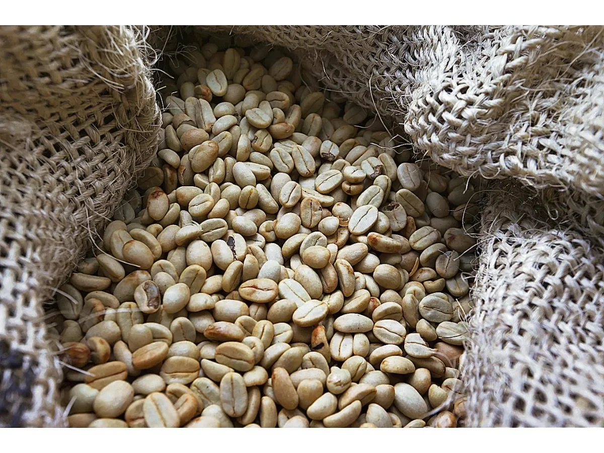Perspectivas climáticas en Brasil presionan a la baja los precios internacionales del café