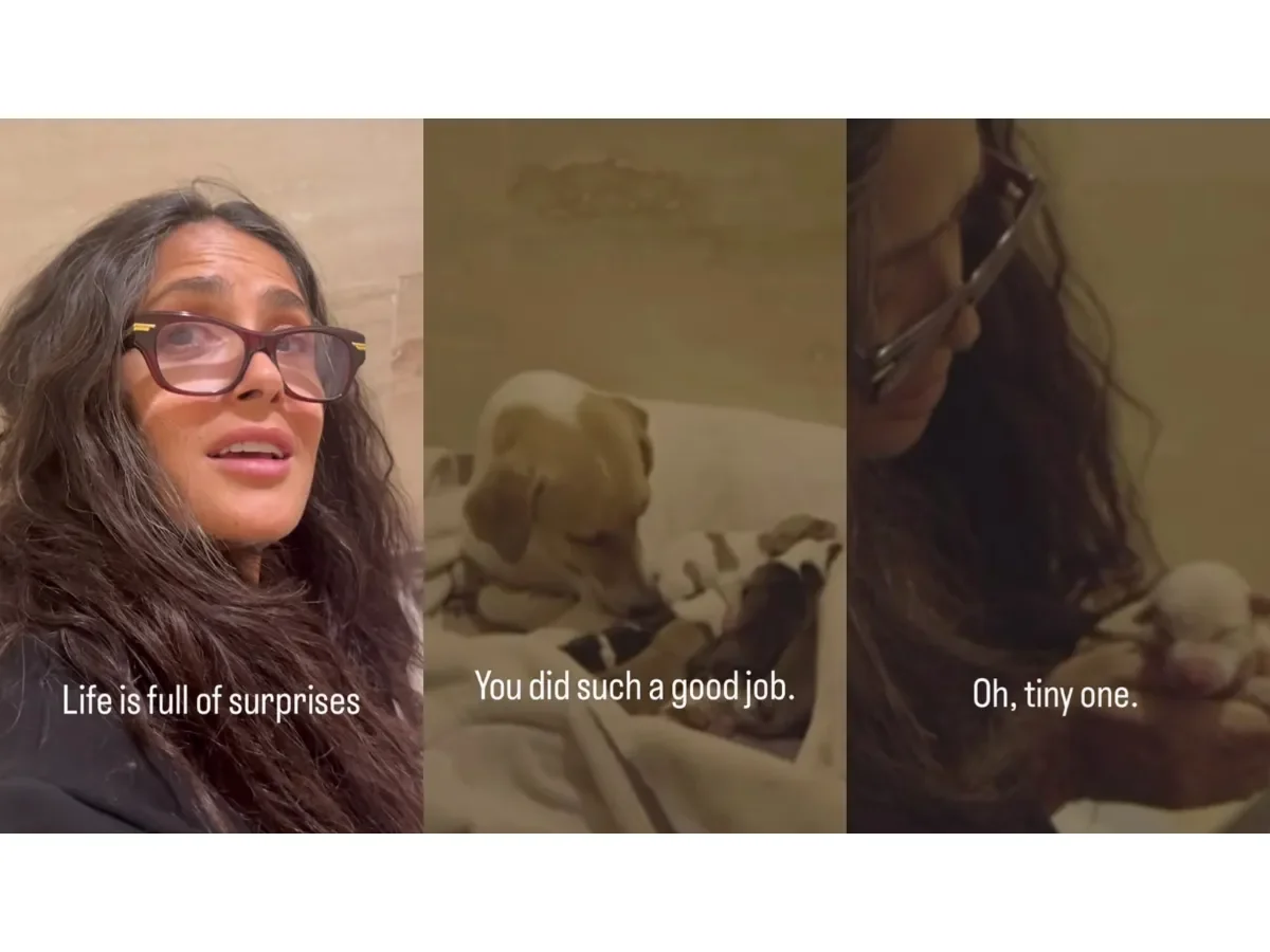 Salma Hayek rescata a una perrita embarazada con diez cachorros en Veracruz y promueve adopción responsable