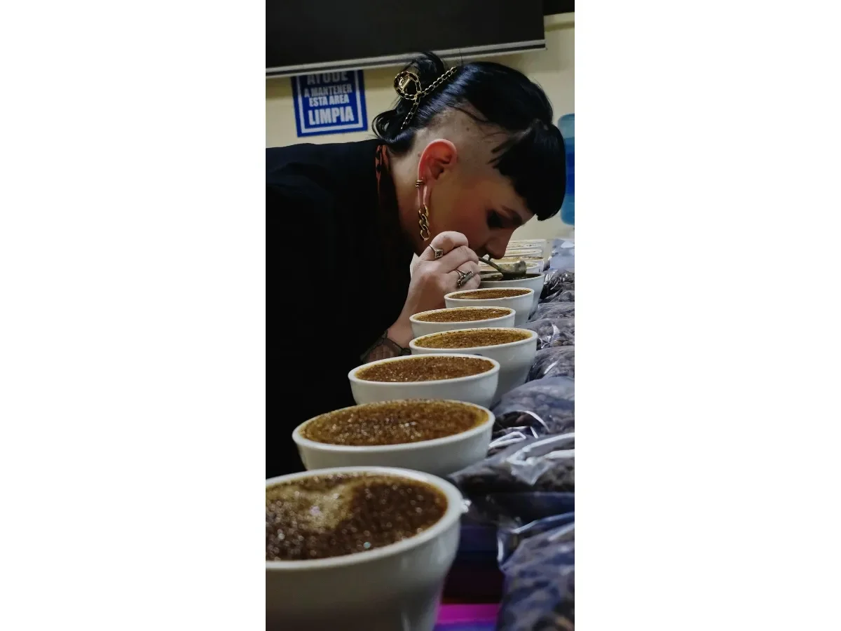 Taza de Excelencia 2026: Comienza la recepción de muestras para el certamen cafetalero más importante