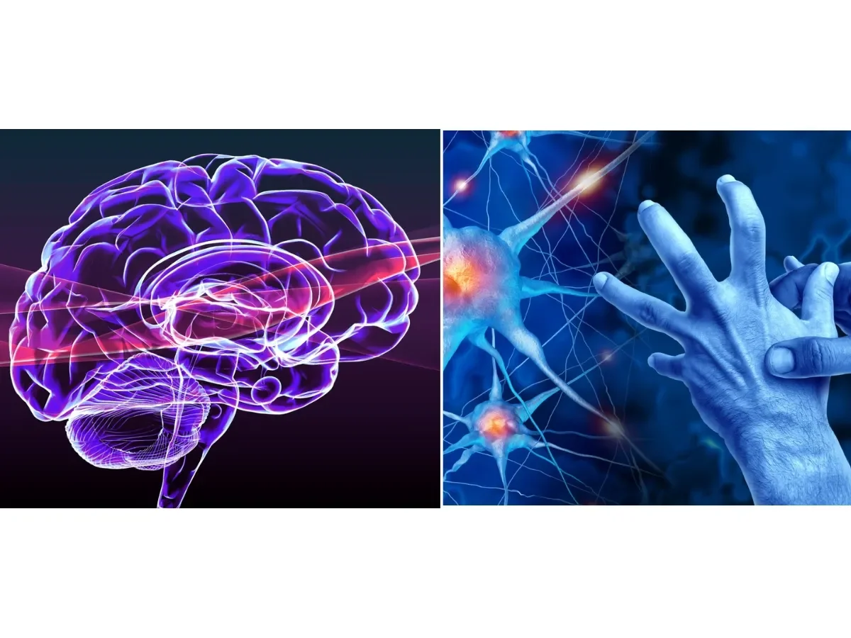 Ejercicio físico: la clave para proteger el cerebro y prevenir el deterioro de la memoria