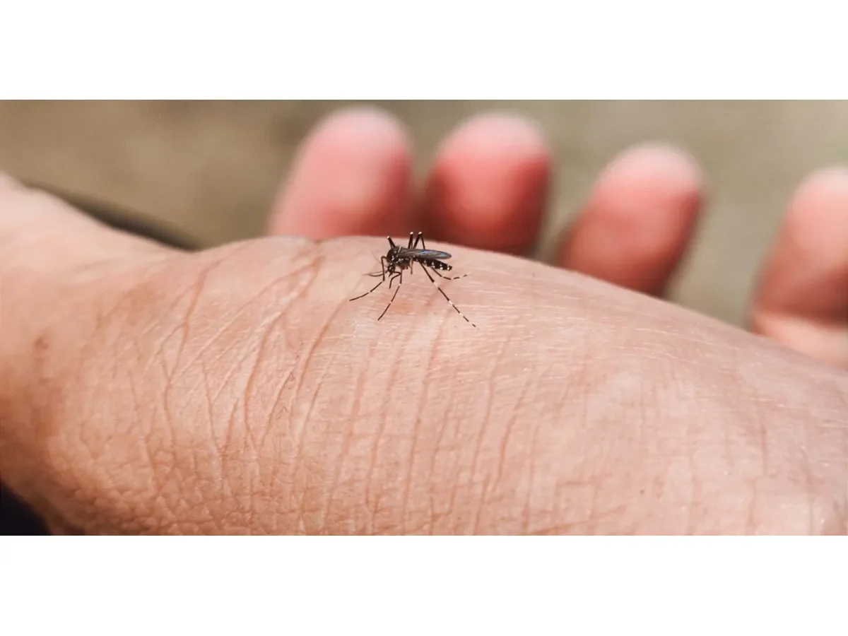 MINSAL reporta incremento de casos sospechosos de dengue en niños y adolescentes en El Salvador