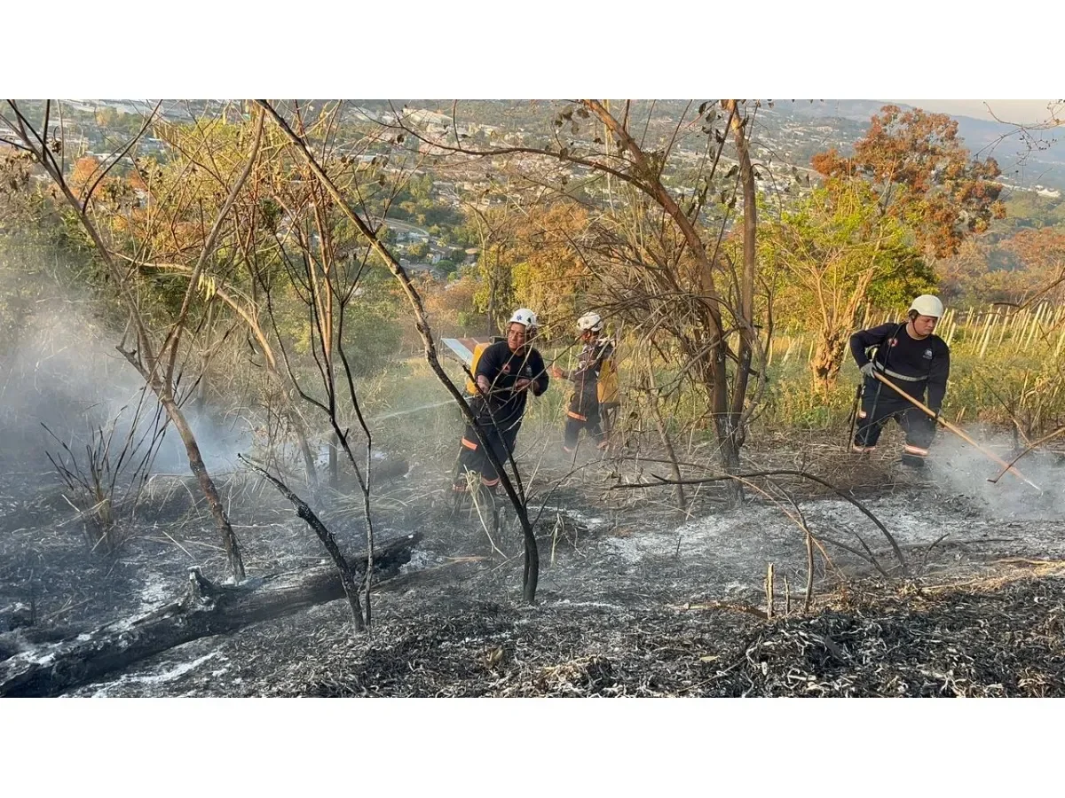 Incendio forestal afecta el Cerro San Jacinto en San Salvador: autoridades trabajan para controlarlo
