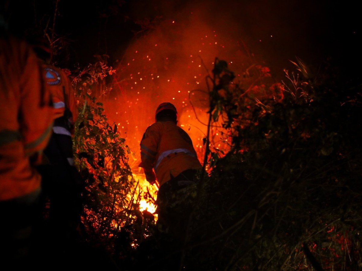 Incendio en cerro San Jacinto agrava cifra de más de 135 incendios forestales en El Salvador en 2026