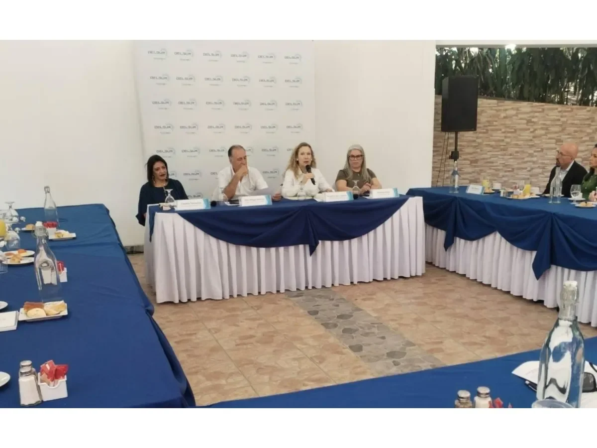 Delsur destina $47.6 millones para modernizar la red eléctrica en El Salvador