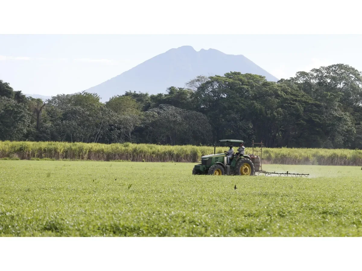 Superficie cultivada en El Salvador disminuye 18.2 % desde 2007, alerta Banco Central