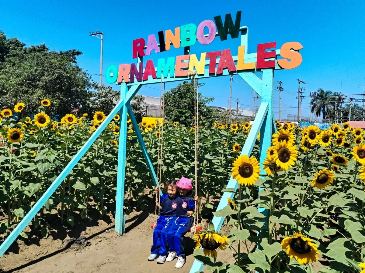 Festival del Girasol en San Juan Opico: Una experiencia natural y cultural imperdible