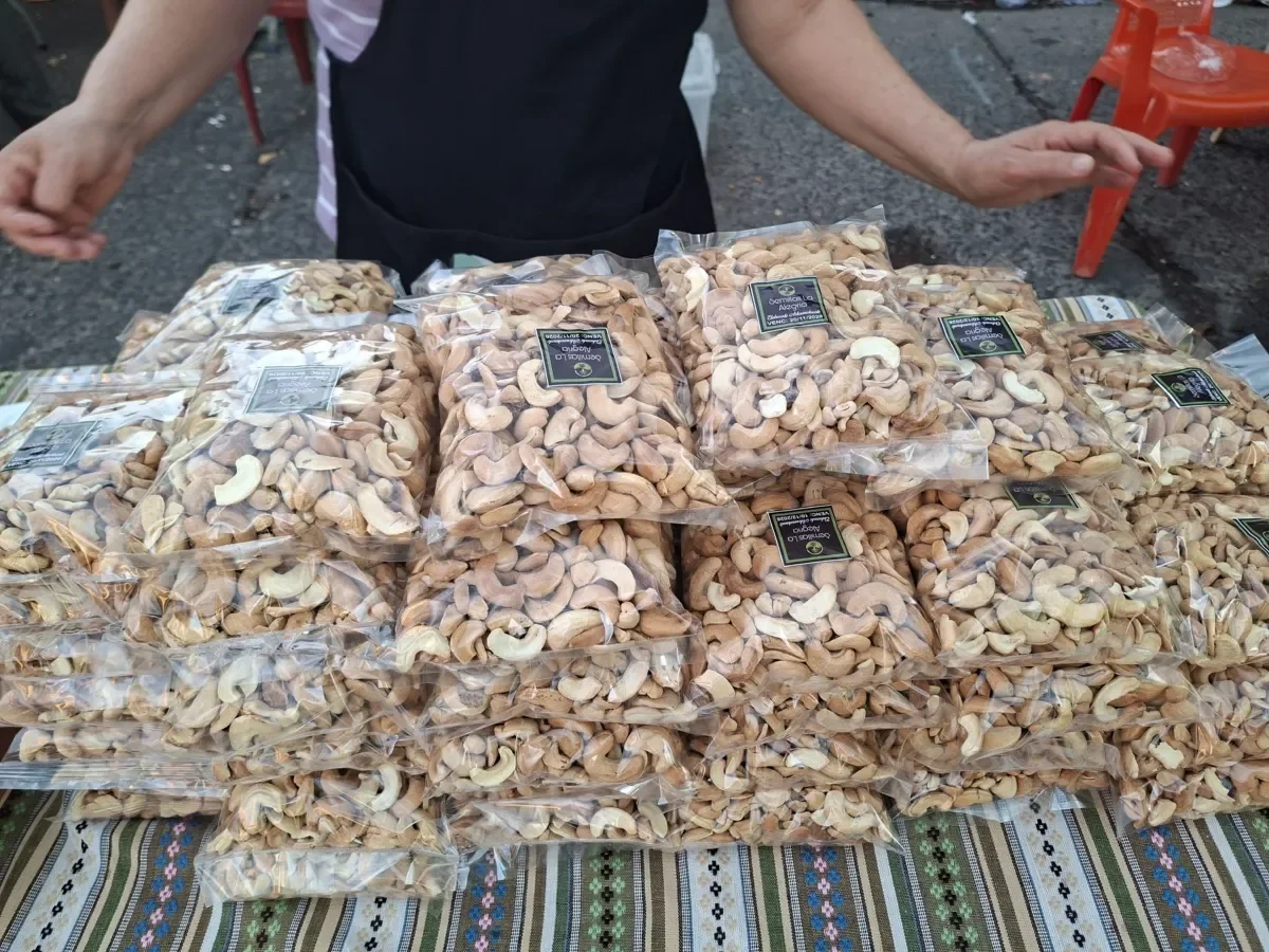 Festival del Marañón impulsa la economía y el turismo local en Tecoluca, San Vicente