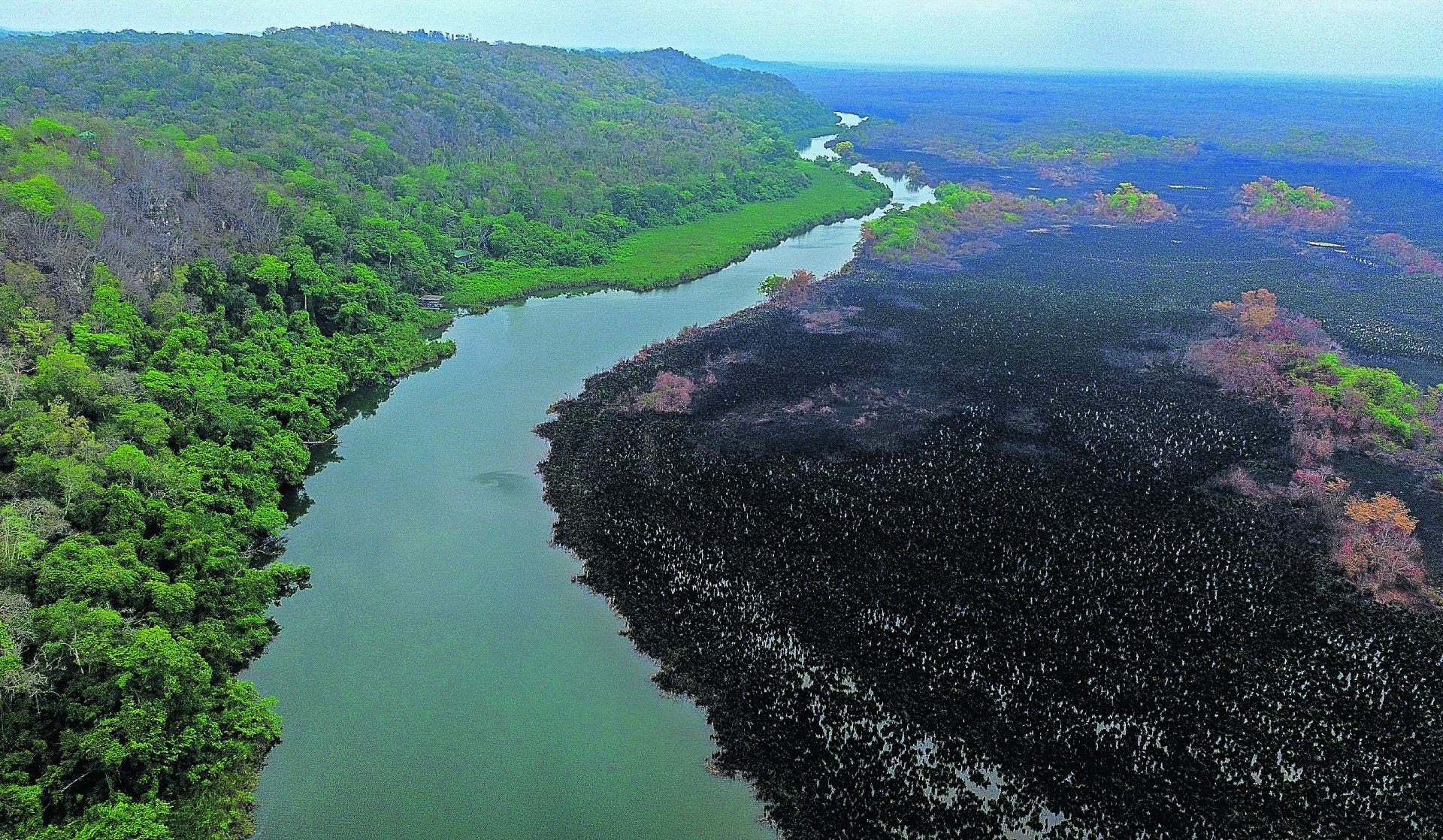 Invasiones y actividades ilegales amenazan la biodiversidad en Laguna del Tigre, Petén