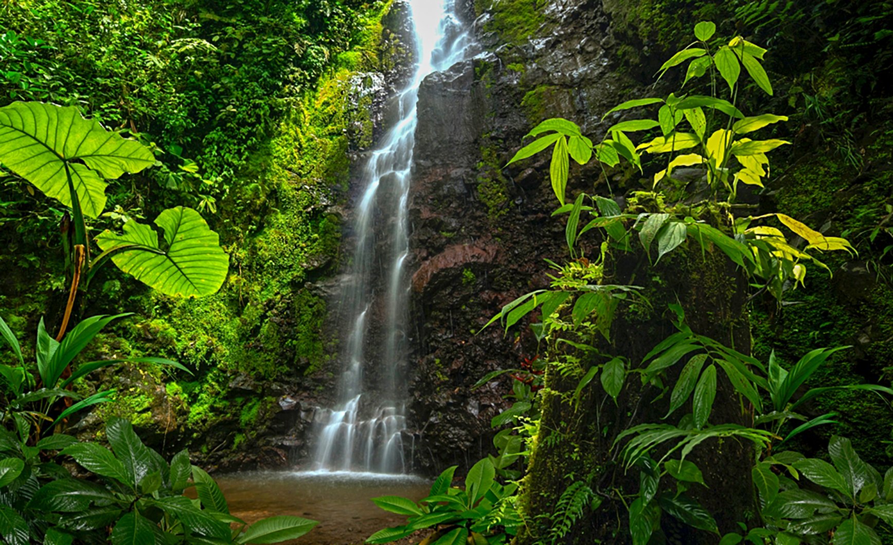 BCIE Emite Primer Bono de Naturaleza: Un Hito en Financiamiento Sostenible Multilateral