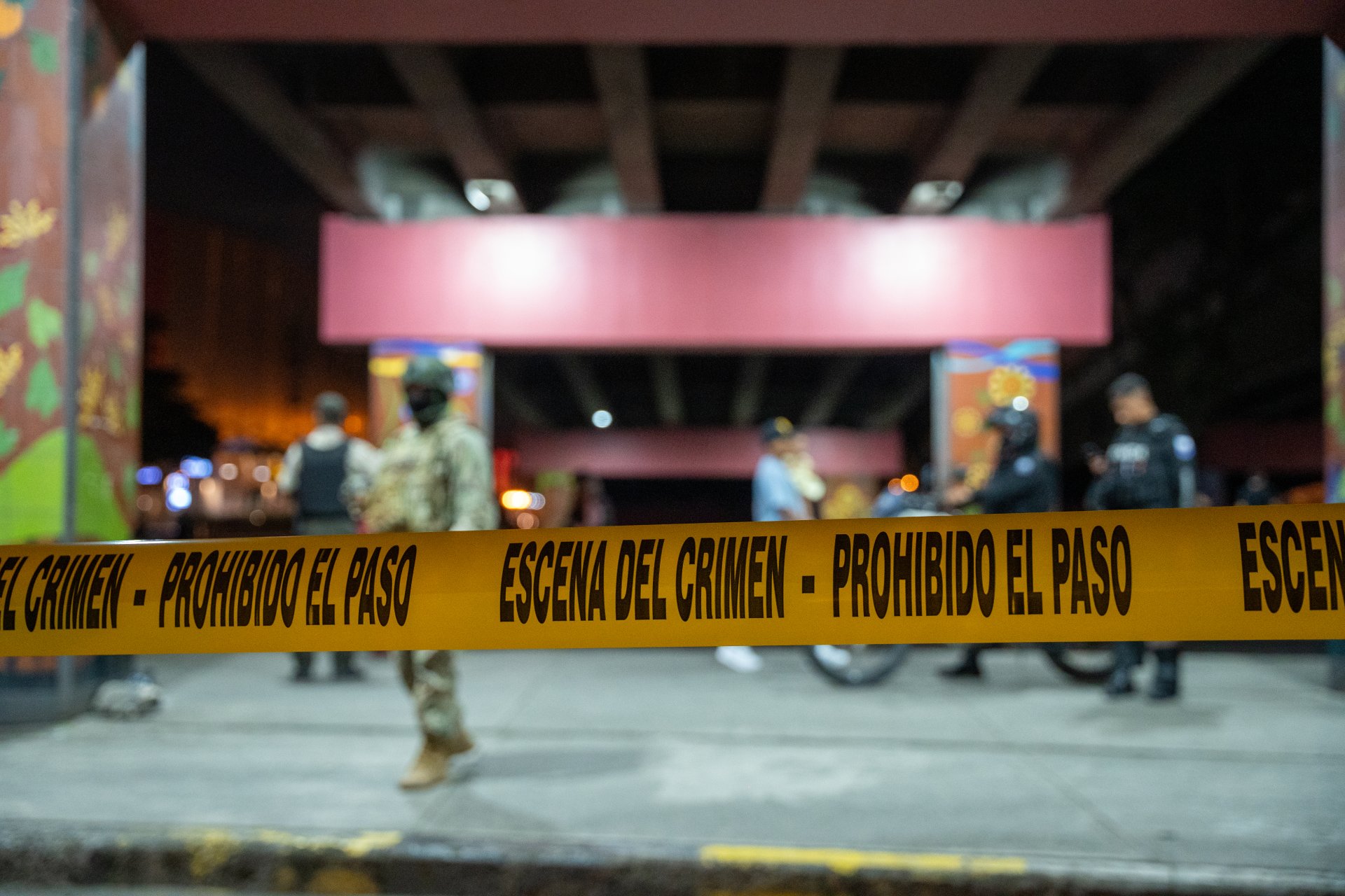 Investigan el hallazgo de mujer amordazada y calcinada en República Dominicana tras llamada telefónica