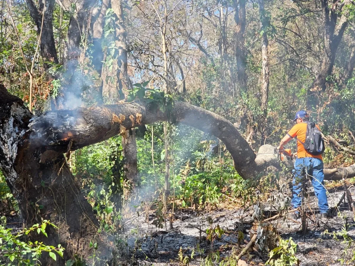 Incendios forestales afectan el volcán de Usulután y el cerro El Chuntrún en Chalatenango