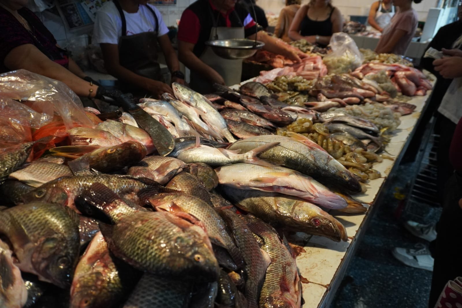 Incremento en precio de mariscos en Guatemala vinculado al alza en combustibles