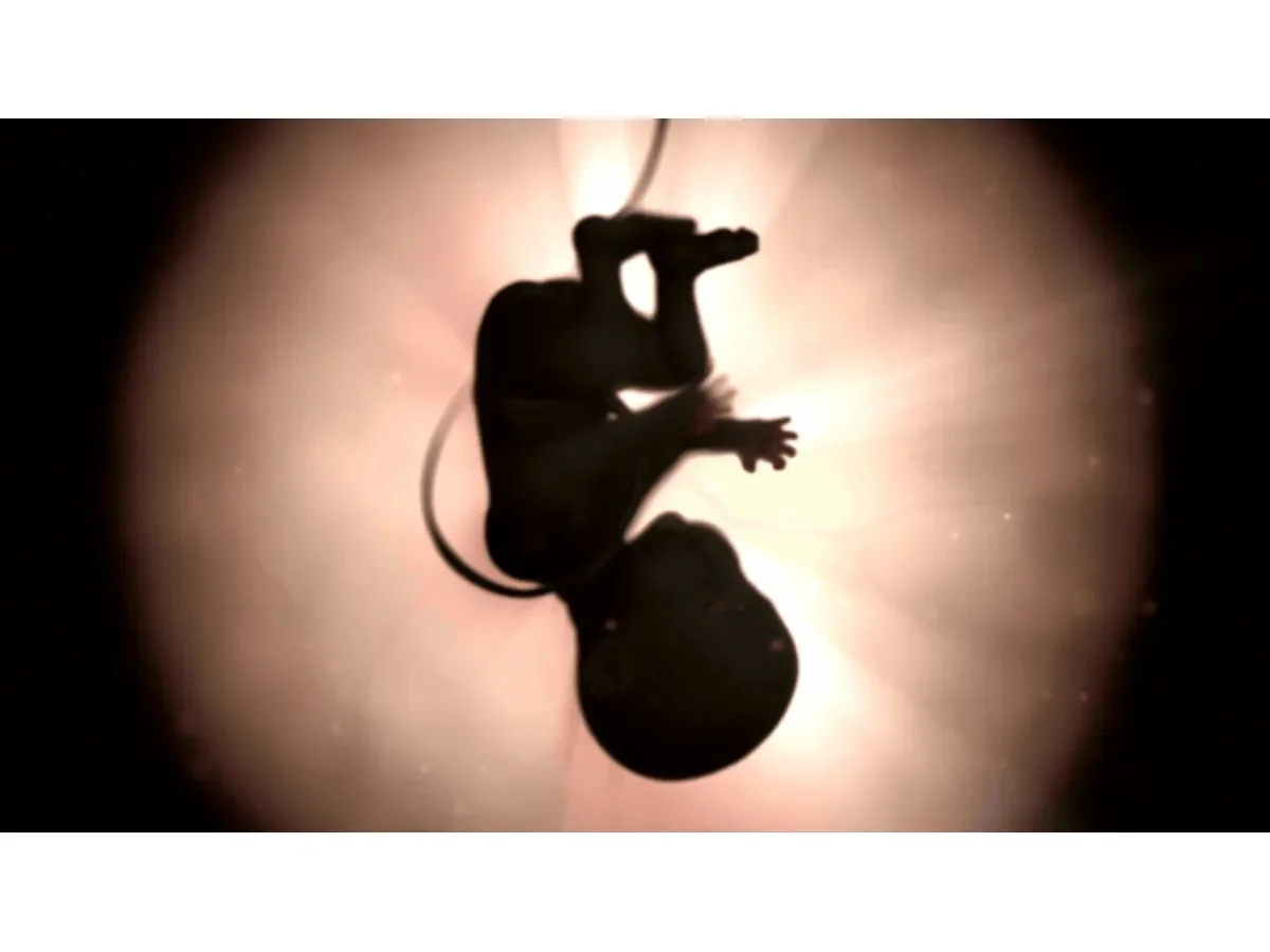 Estudio revela que la microgravedad afecta la fertilidad humana en el espacio