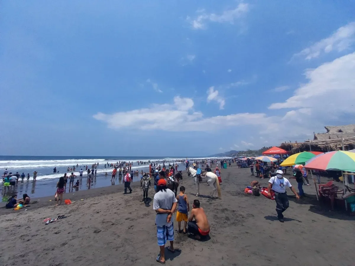Precaución en El Majahual: socorristas reportan aumento de picaduras de medusas en Semana Santa