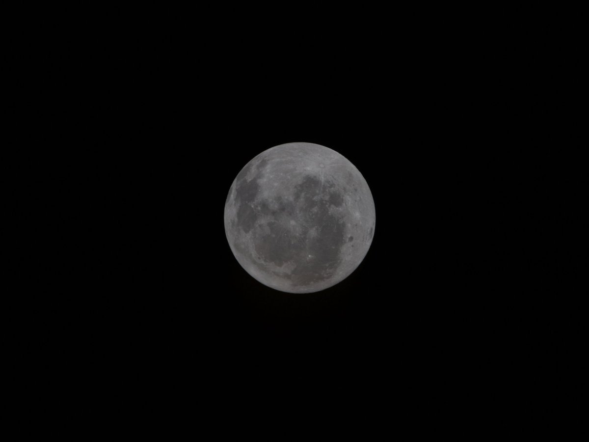 Artemis II revela imagen inédita de la cara oculta y cuenca Oriental de la Luna
