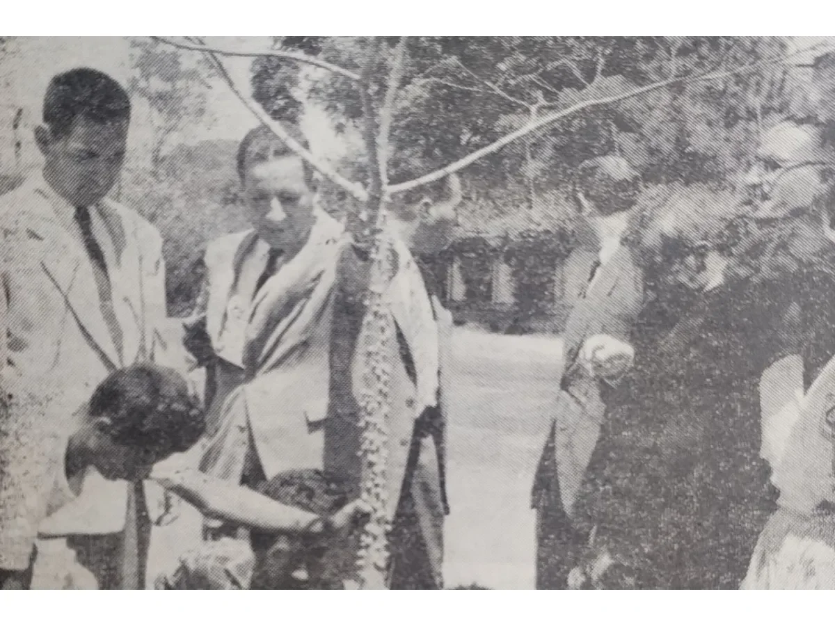 La historia detrás de la siembra de la ceiba frente a la basílica de Guadalupe en 1961