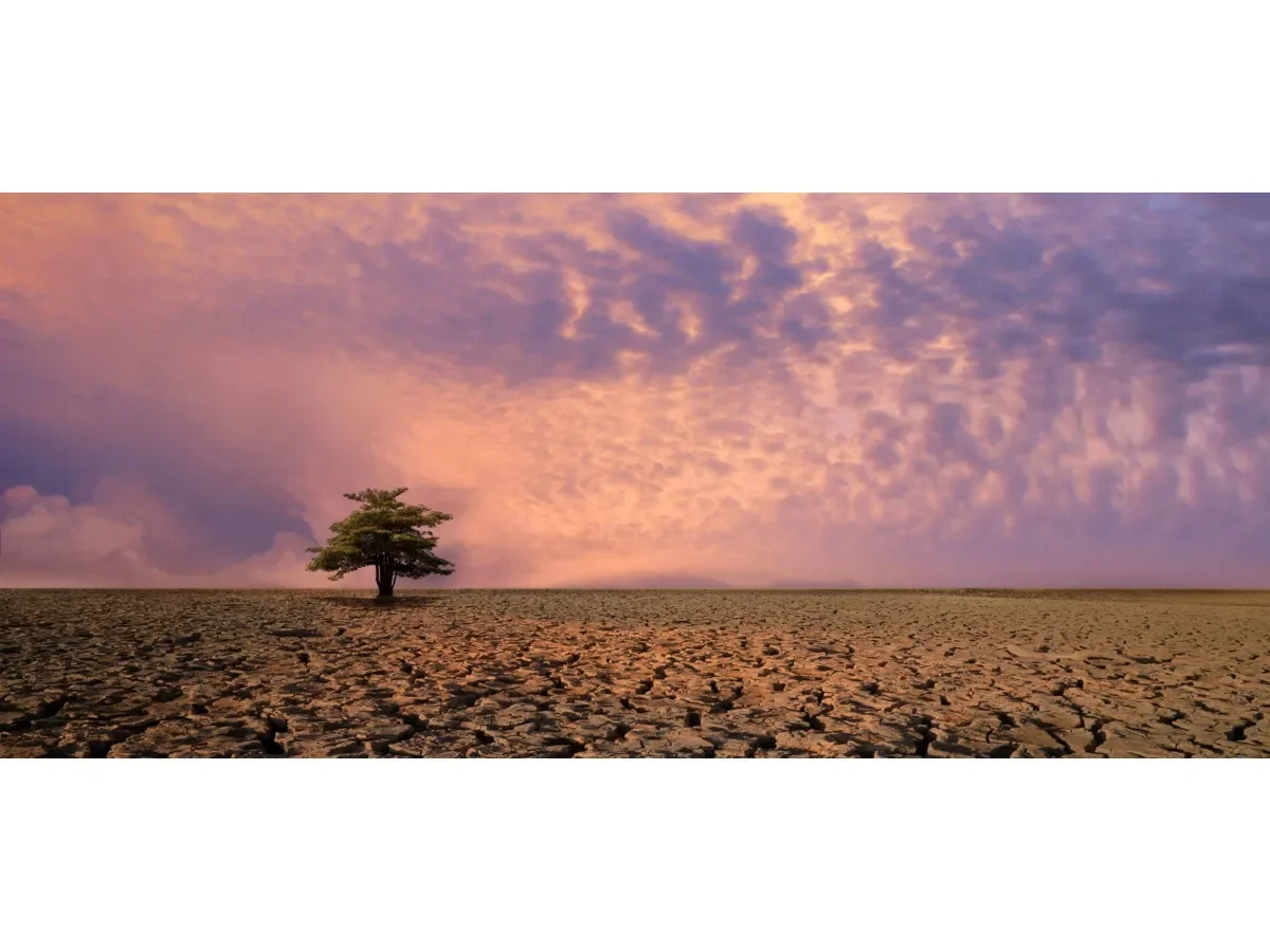 Se prevé un posible \'Super El Niño\' con impactos climáticos y económicos en Colombia este año