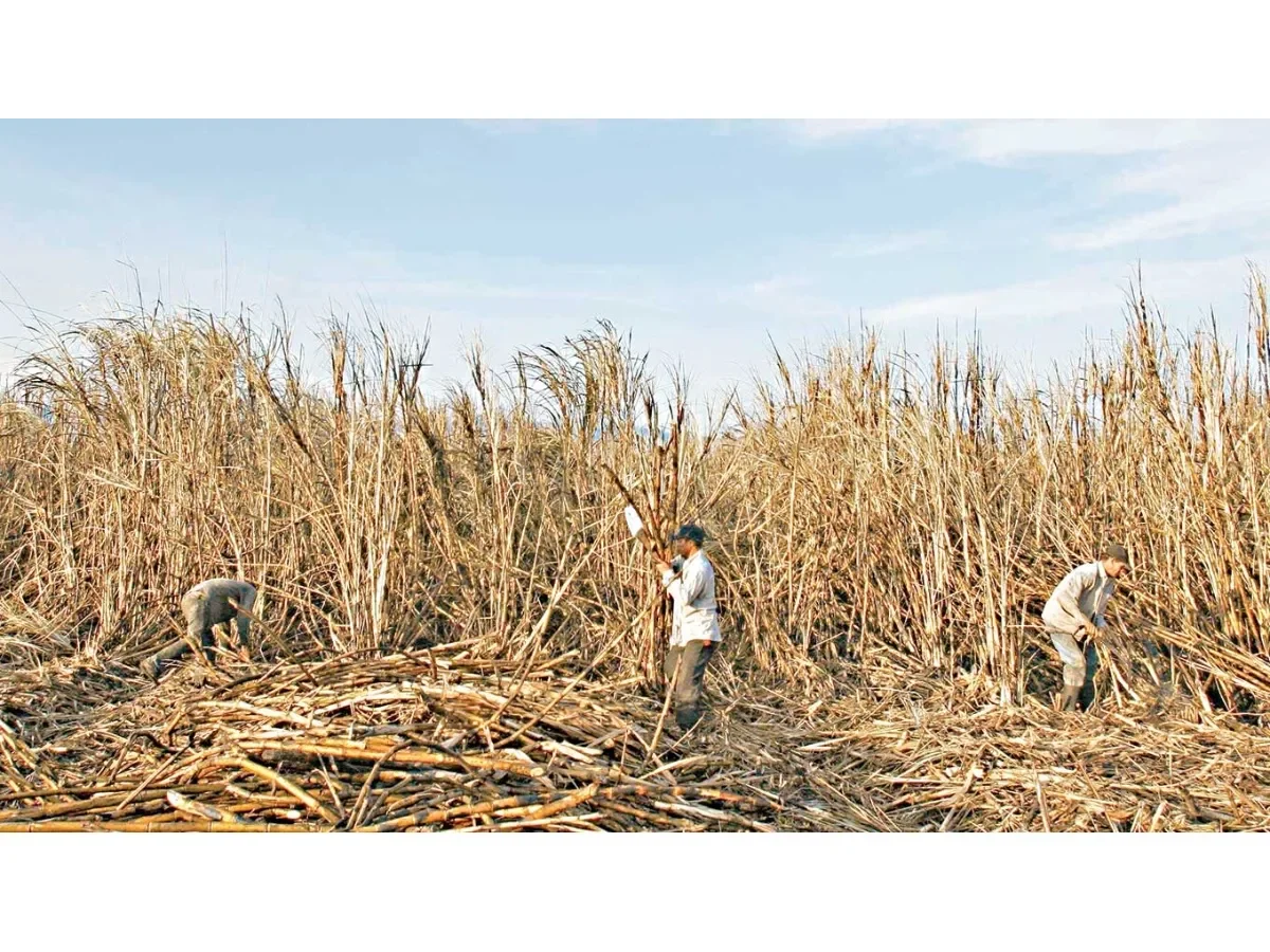 Finaliza La Niña y se mantiene fase neutra de ENSO hasta junio 2026, alerta clima en El Salvador