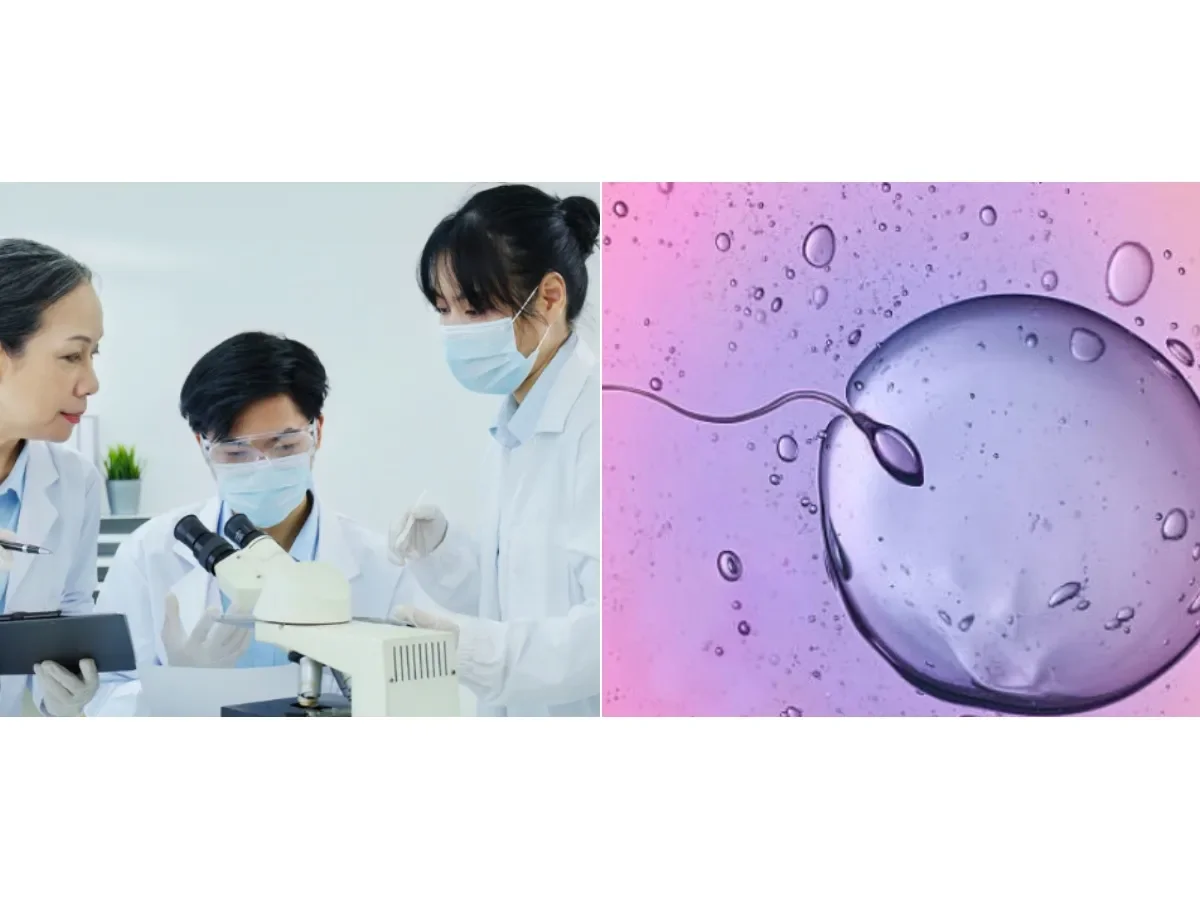 Estudio revela que eyacular con frecuencia podría mejorar la calidad del esperma y la fertilidad