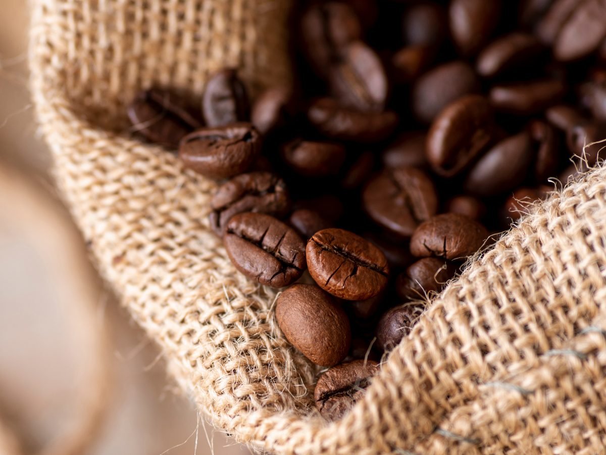 Aprueban reformas para agilizar exportación y fortalecer cadena productiva del café en El Salvador