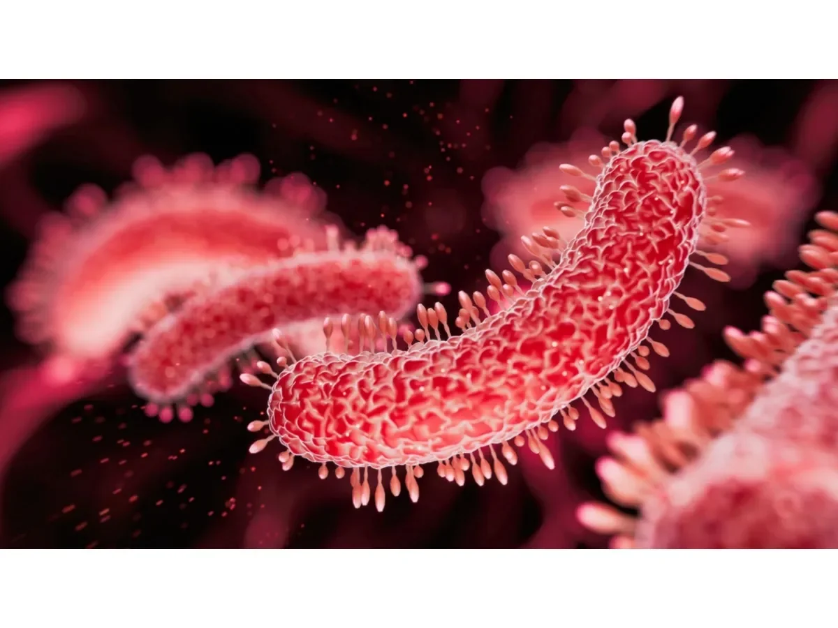 Bacterias de cuevas profundas revelan resistencia natural a antibióticos y desafían la medicina moderna