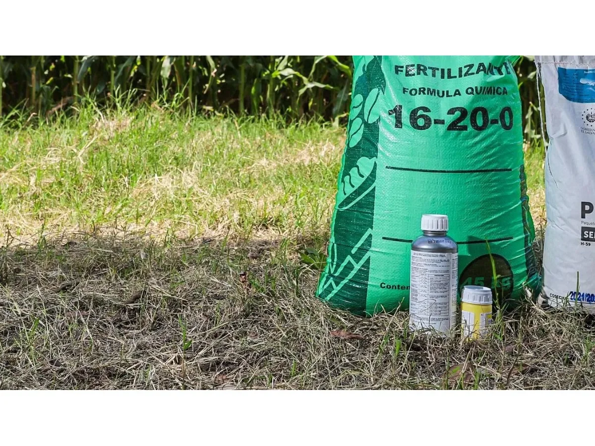 Agricultores salvadoreños solicitan vigilancia en precios de fertilizantes ante posible especulación