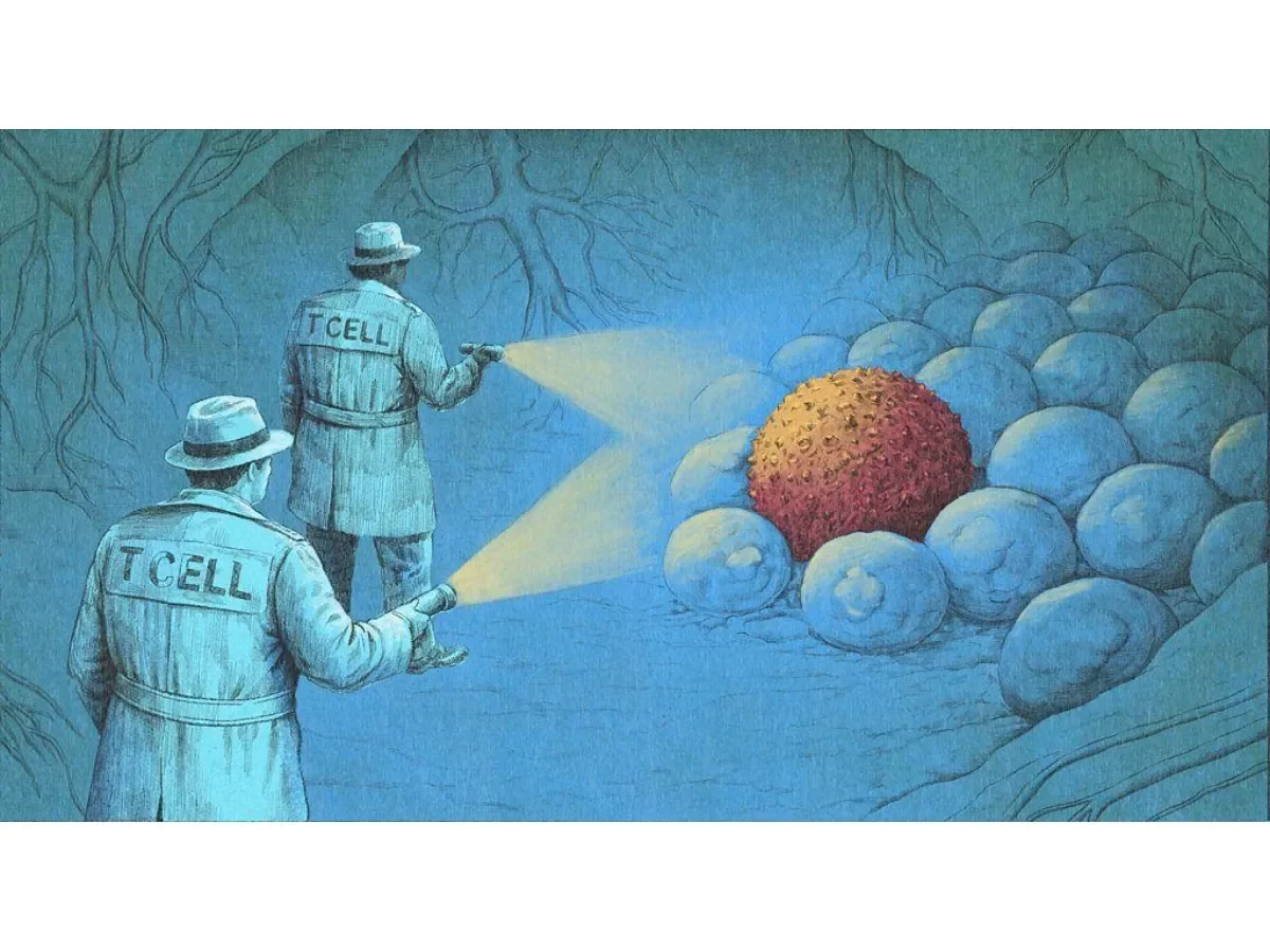 Avances en inmunoterapia: tratamientos revolucionarios que están transformando la lucha contra el cáncer