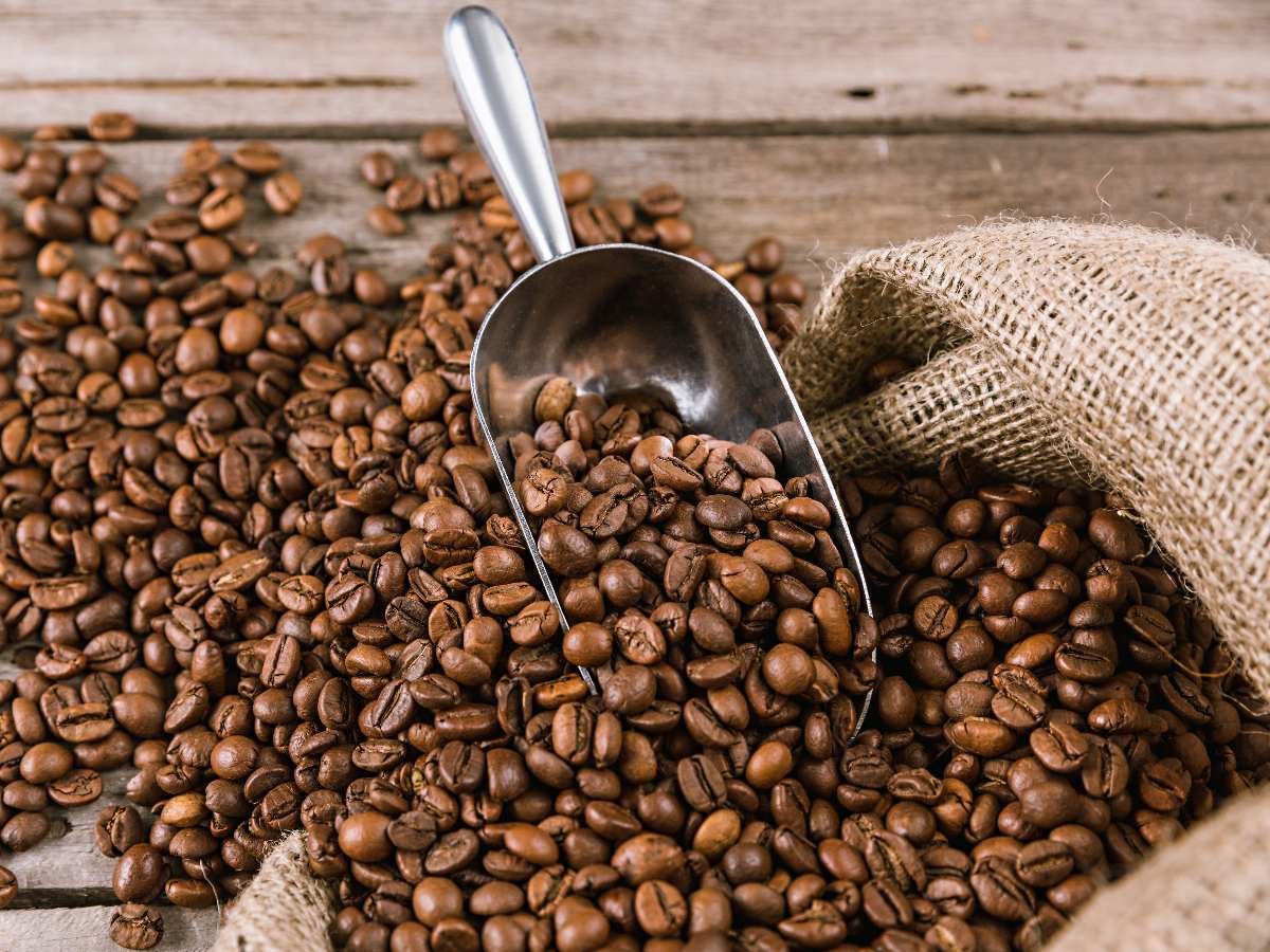 Reformas legislativas agilizan los procesos de exportación del café en El Salvador