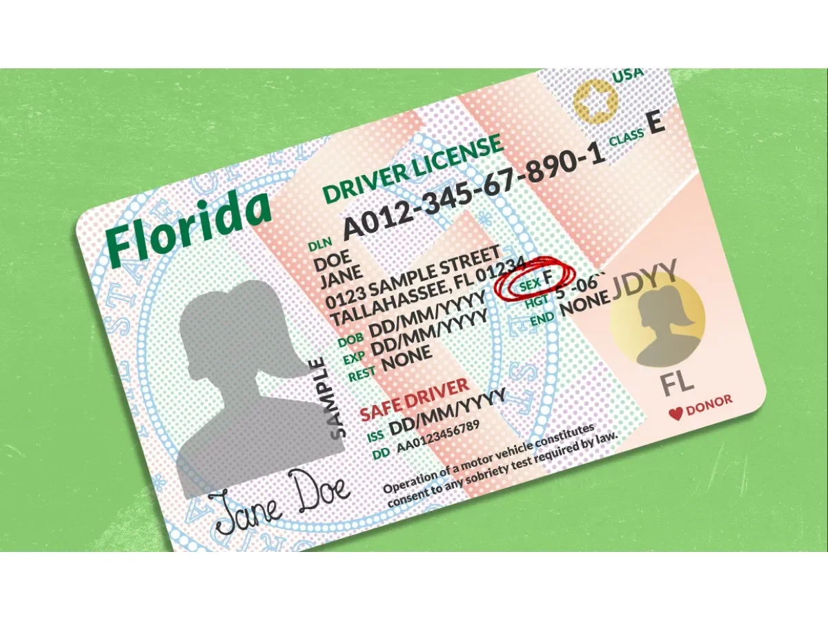 Florida incluirá estatus de ciudadanía en licencias de conducir desde 2027 para reforzar control electoral