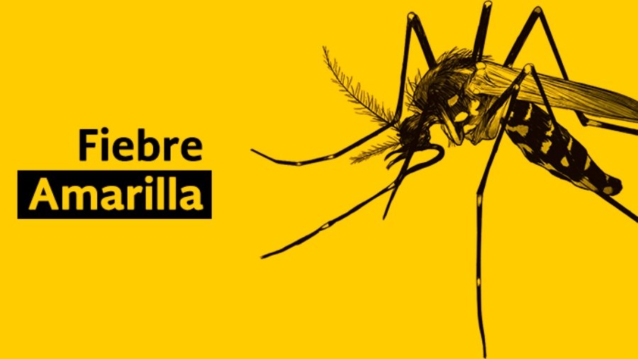 Vacuna contra fiebre amarilla será obligatoria para viajar a Colombia, Brasil, Perú y África desde 2026