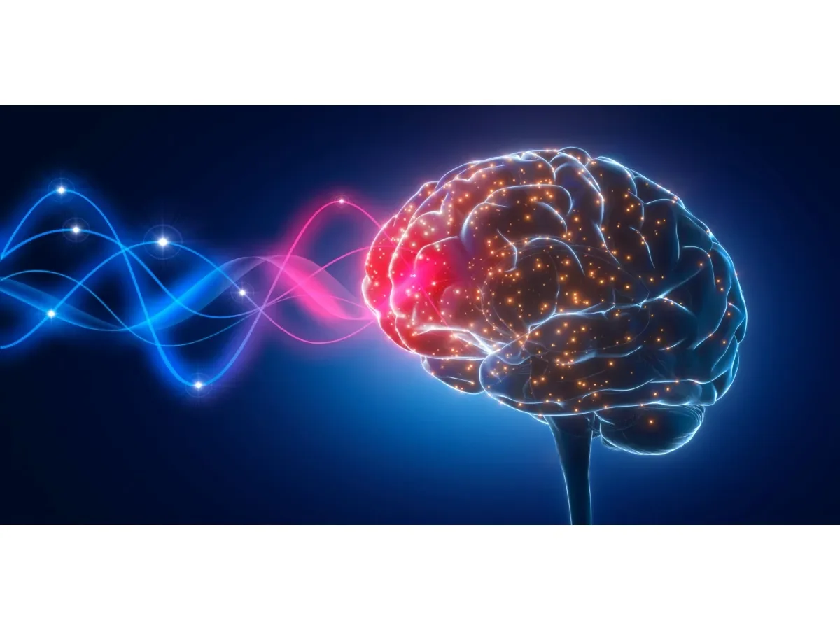 El cerebro y el bienestar: claves para potenciar la salud mental desde la neurociencia