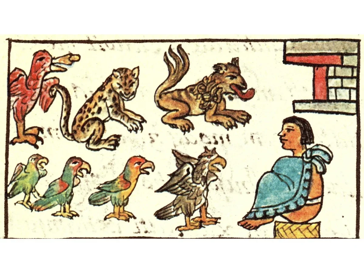 El zoológico de Moctezuma: el vivario que fascinó a los españoles hace 500 años y su legado arqueológico