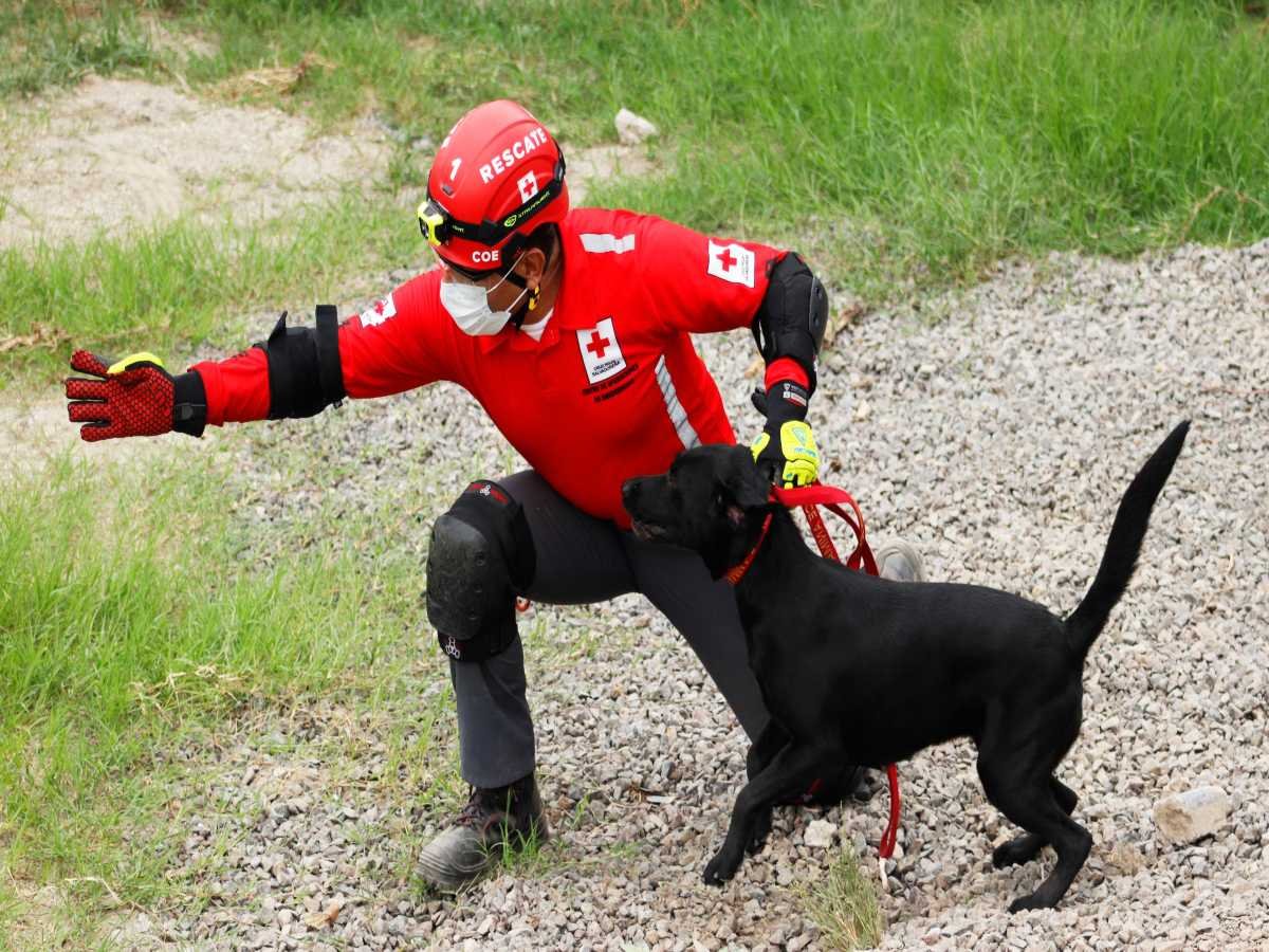 Cruz Roja Salvadoreña fortalece capacidades con Unidades Caninas en CENTAM Guardian 2026