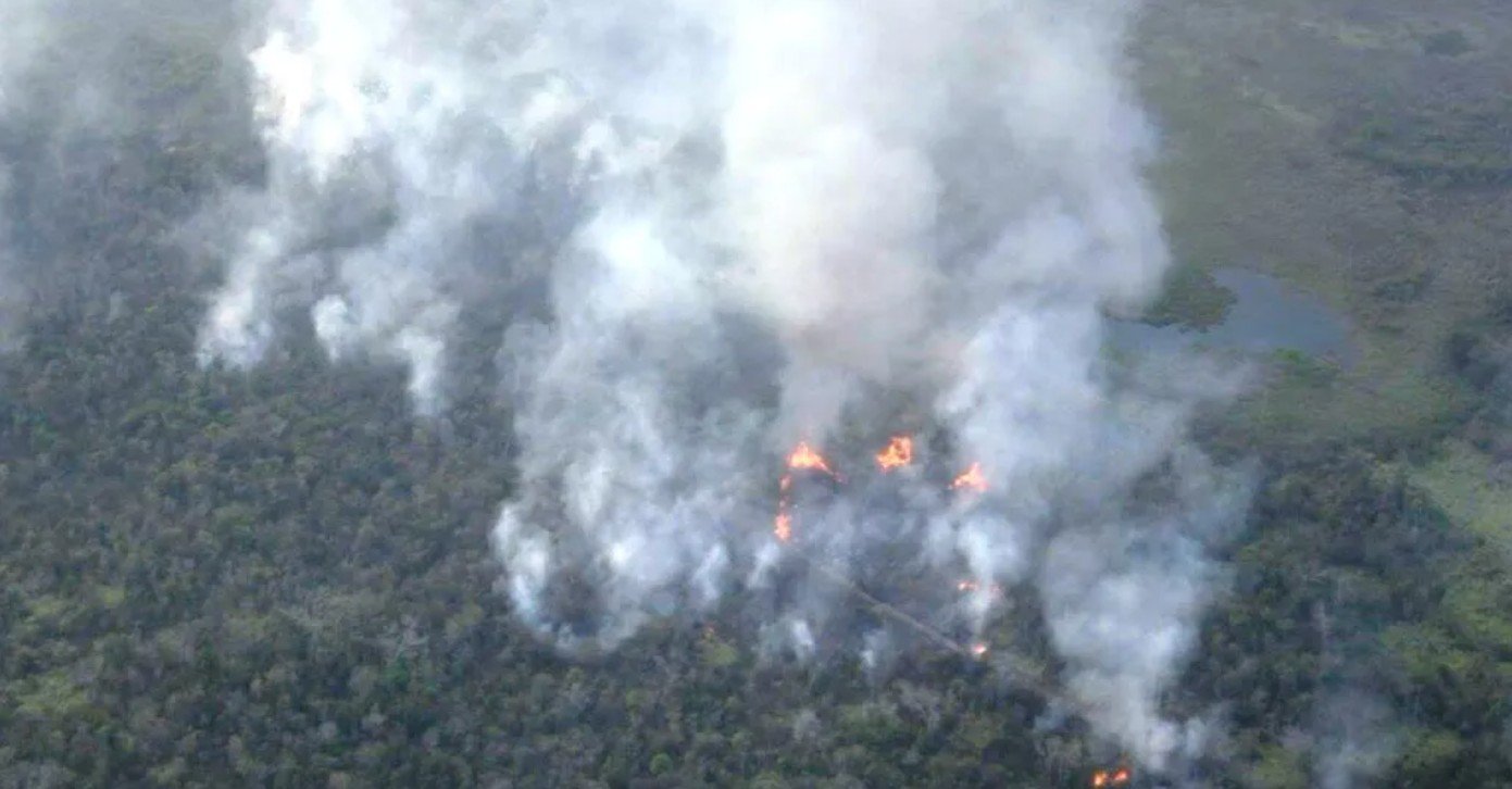 Petén: el departamento más vulnerable a incendios forestales y su impacto ambiental