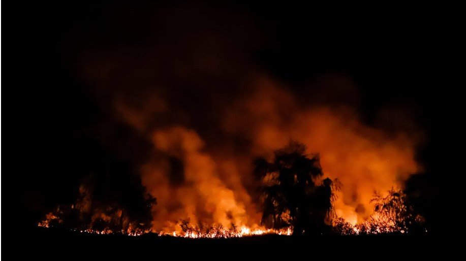 Incendios forestales y cáncer: el creciente riesgo para la salud pública