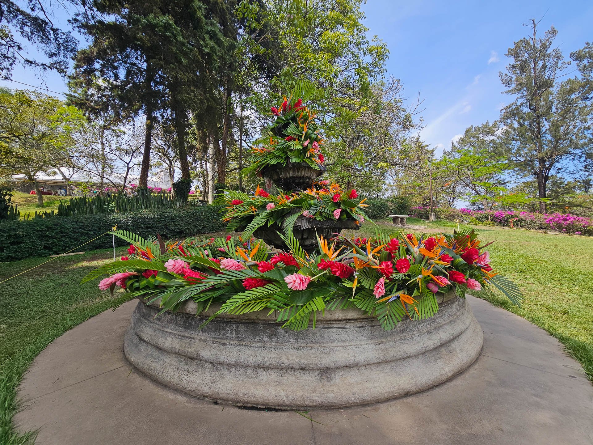 Feria de las Flores 2026 en Cerrito del Carmen: arte floral, gastronomía y actividades familiares