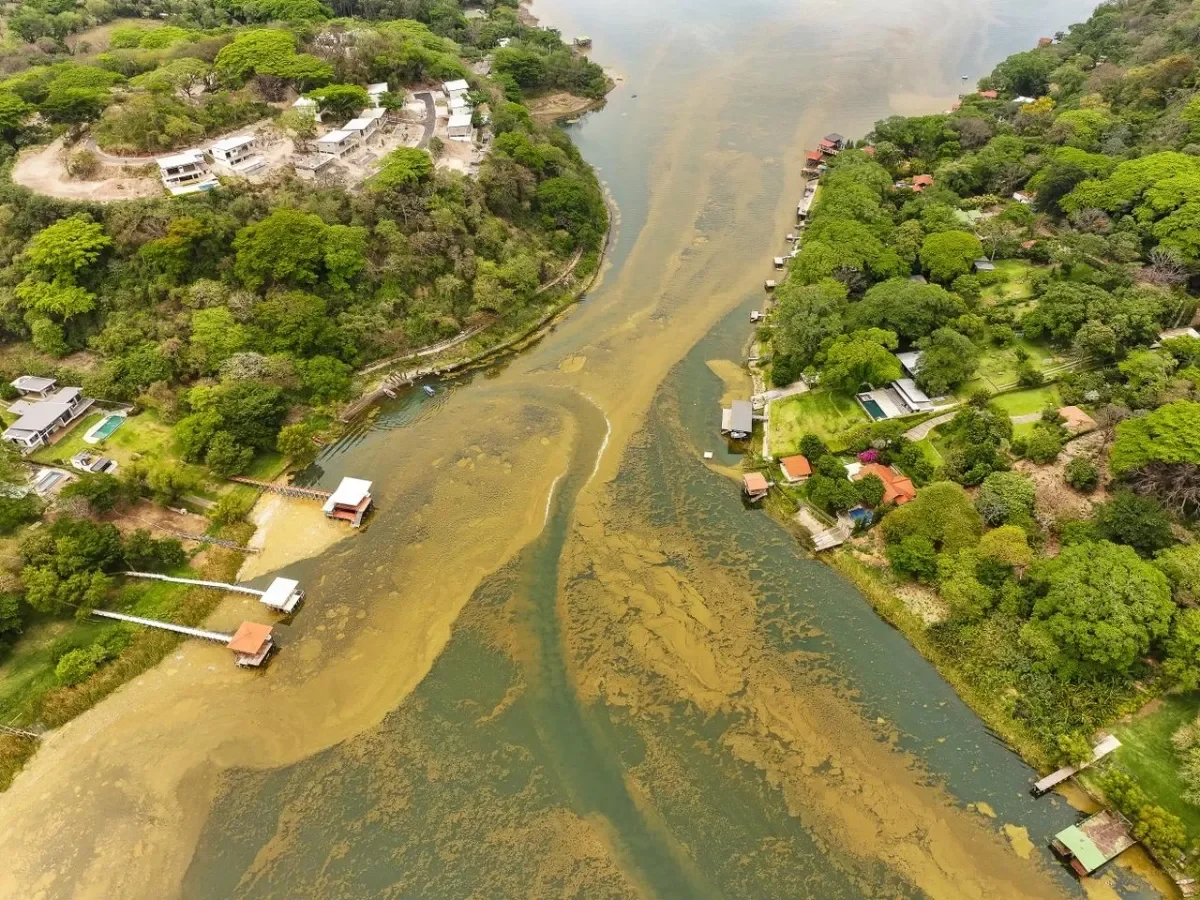 MARN informa aumento de cianobacterias en lago de Coatepeque y medidas de mitigación