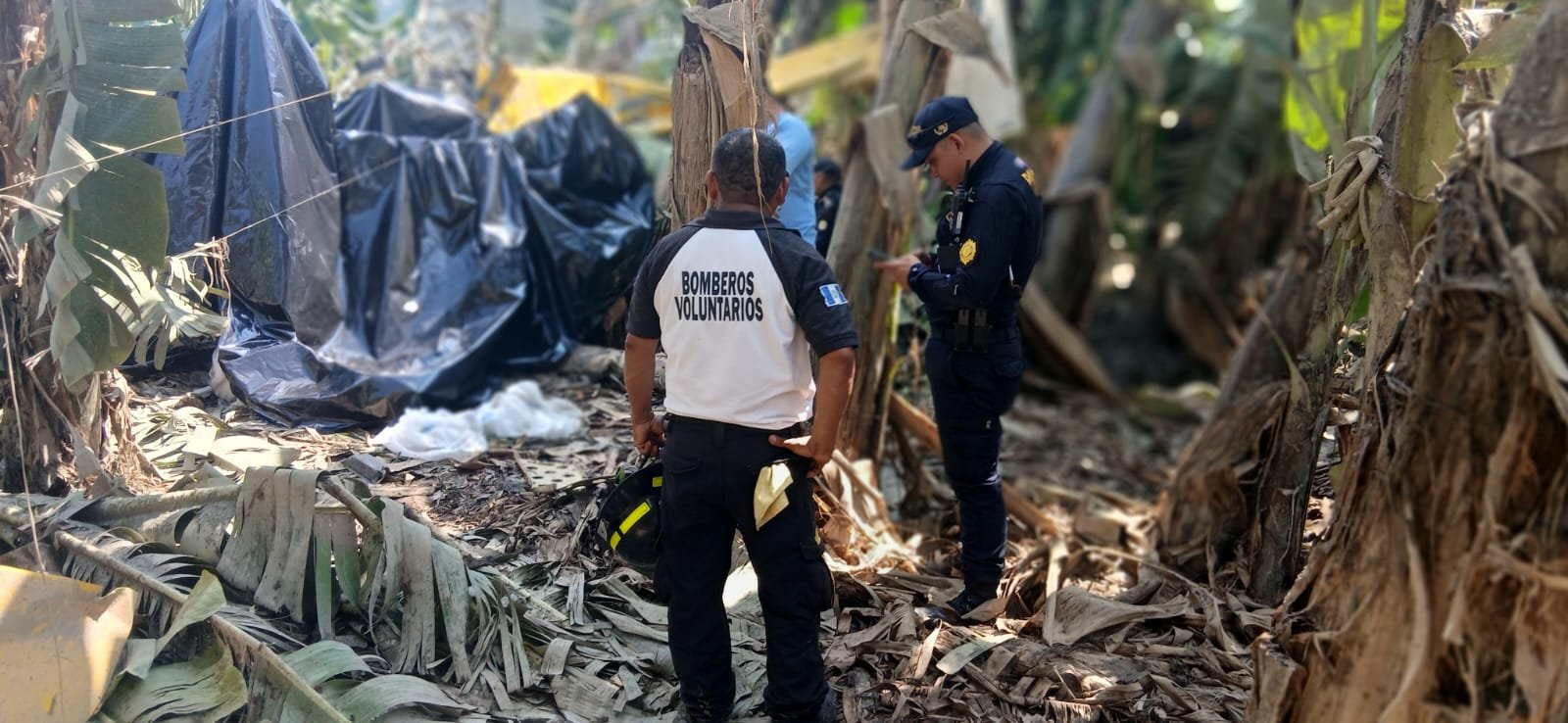 Piloto muere tras desplome de aeronave agrícola en Masagua, Escuintla
