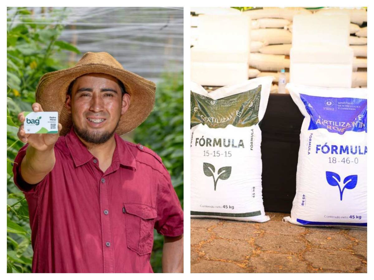 Diferencias clave entre el Bono Agrícola y los insumos agrícolas en El Salvador