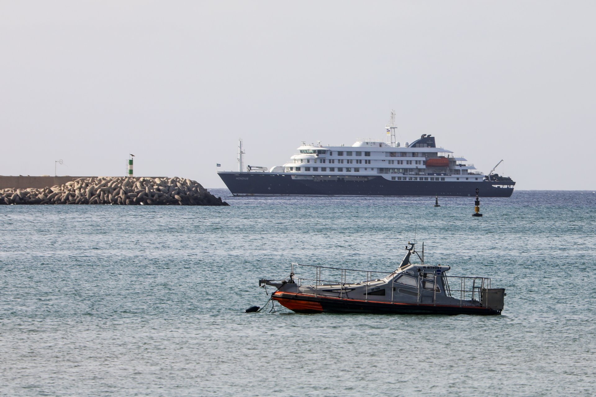 Detectan cepa andina de hantavirus en crucero y analizan su peligrosidad frente a Covid-19