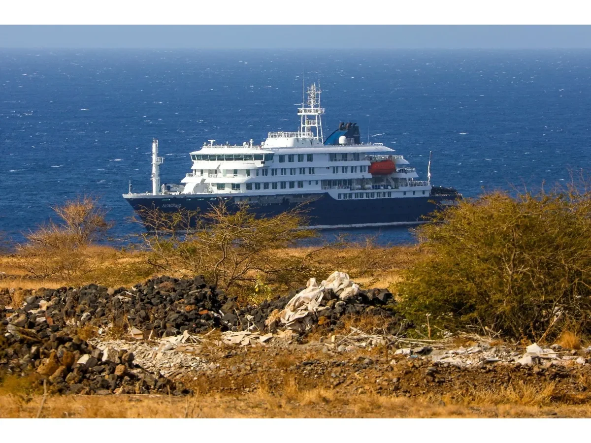 Detectan cepa de hantavirus con transmisión humana en brote mortal a bordo de crucero en el Atlántico