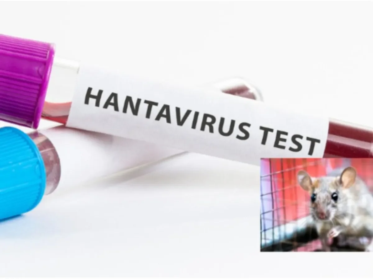 OMS rastrea a más de 80 pasajeros tras muerte por hantavirus vinculada a crucero en África