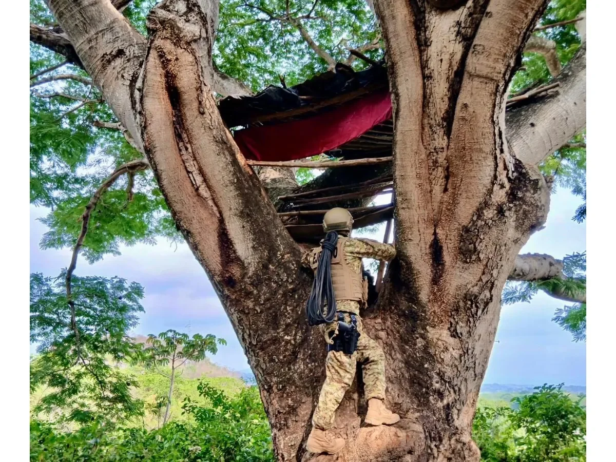 Fuerza Armada desmantela campamento de presuntos pandilleros en Olocuilta, La Paz Fuerza Armada desmantela campamento de presuntos pandilleros en Olocuilta, La Paz