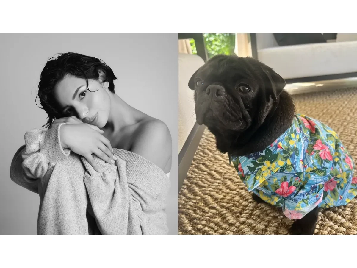 La familia Aguilar enfrenta la pérdida de Chancho, su querido perro pug La familia Aguilar enfrenta la pérdida de Chancho, su querido perro pug