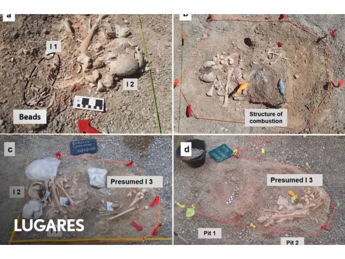 Descubren restos humanos de más de 10 mil años en la costa atlántica patagónica que reavivan debate sobre el poblamiento de América