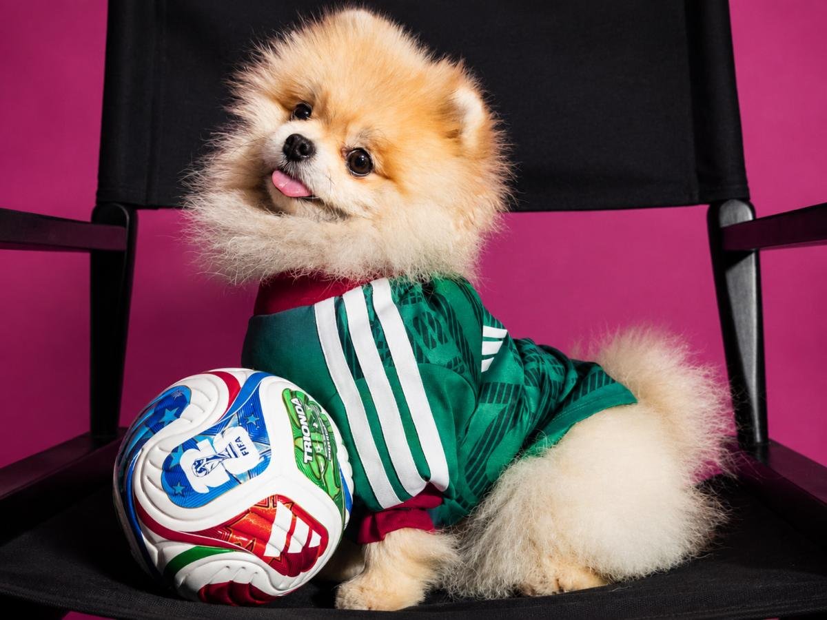 Adidas presenta camisetas oficiales para perros inspiradas en el Mundial 2026 Adidas presenta camisetas oficiales para perros inspiradas en el Mundial 2026